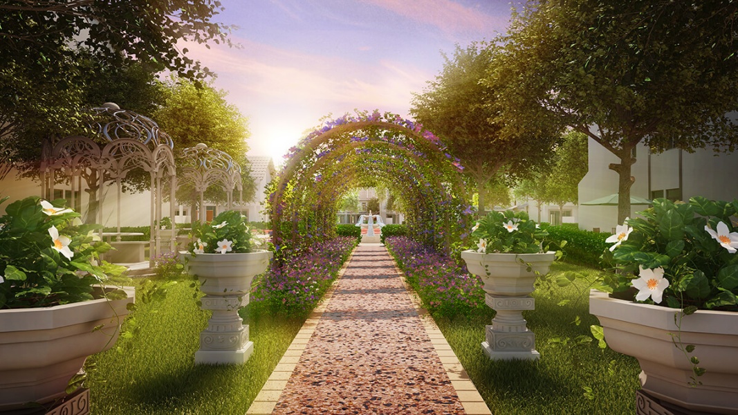 Garden