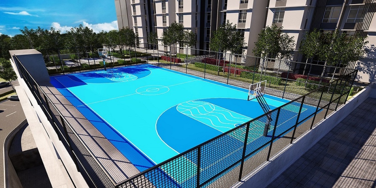 Basketball Court