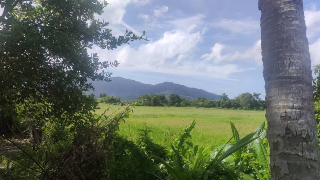 View from land border