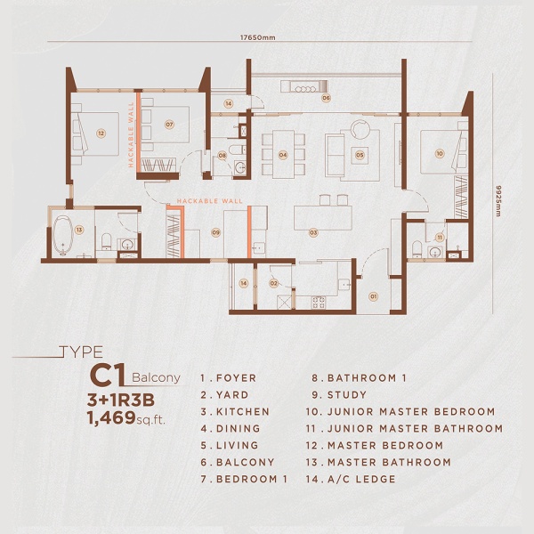 Type C1