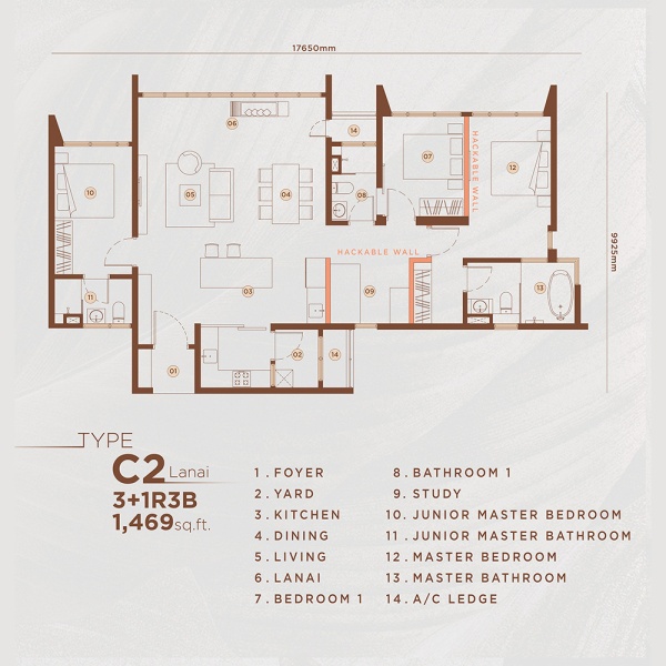 Type C2